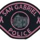 Pink Police Patches