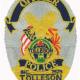 Police Officer Badge Patch
