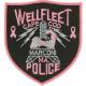 Breast Cancer Police Patch