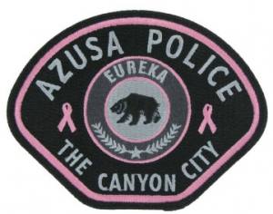 Pink Police Emblems