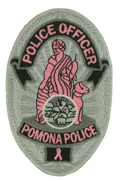 Pink Police Badge patch