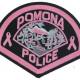 Pink Police Embroidered patch