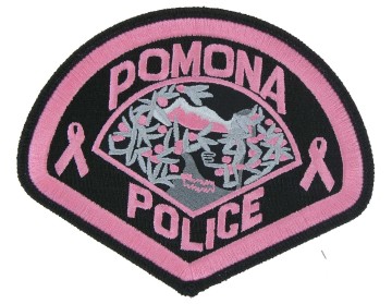 Pink Police Embroidered patch