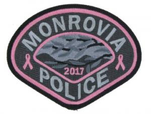 Pink Police Embroidered Emblem