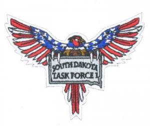 American Eagle Emblem