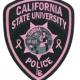 Pink police emblem